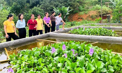 Phụ nữ Vị Xuyên giúp nhau làm Đăng nhập tài khoản thành viên LC88 giỏi