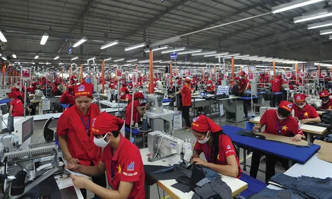 Những số liệu đáng mừng về Sân Chơi Lc88.com Web Uy Tín dệt may