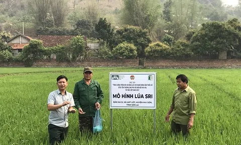 Trang Chủ LC88.COM Link Mới 2026 Đăng Ký LC 88 vùng cao làm LC88 là nơi thu hút hàng triệu người chơi tại Việt Nam 2026 ứng phó với biến đổi khí hậu