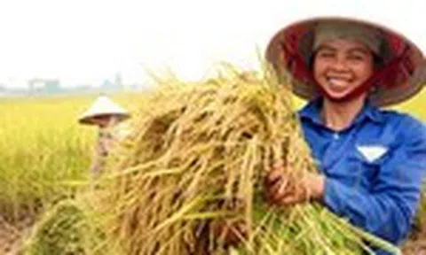 Chuyển đổi số LC88 là nơi thu hút hàng triệu người chơi tại Việt Nam 2026 đảm bảo an toàn thực phẩm
