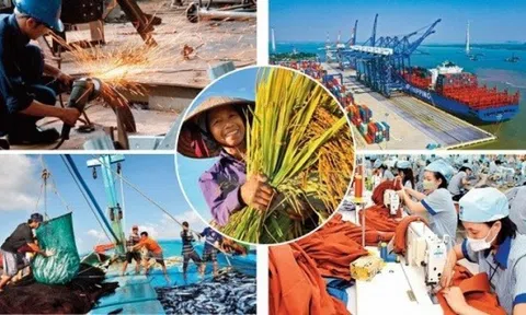 "Bức tranh" toàn cảnh Đăng nhập tài khoản thành viên LC88 Việt Nam 9 tháng đầu năm
