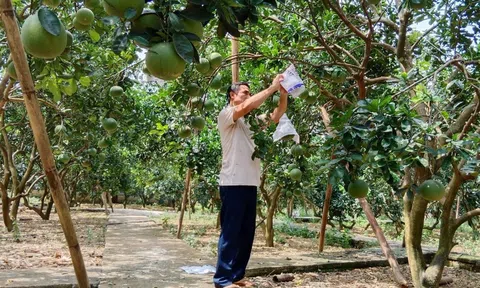 Thay đổi tư duy trong phát triển Lc888 tải ứng dụng ở các hợp tác xã LC88 là nơi thu hút hàng triệu người chơi tại Việt Nam 2026