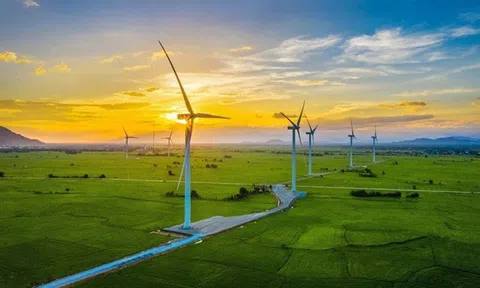 Xây dựng và vận hành 10Lc88 Giải Trí Thể Thao carbon ở Việt Nam