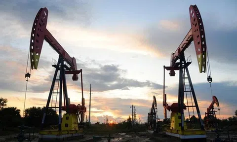 Giá dầu "đảo chiều" tăng trở lại sau 3 phiên giảm liên tiếp