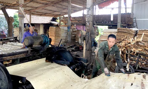 Yên Bái: Nâng cao giá trị Lc888 tải ứng dụng lâm nghiệp, hướng tới trở thành trung tâm chế biến gỗ rừng trồng