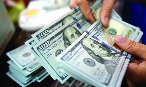 Ngân hàng Lc888.com link không  điều chỉnh biên độ tỷ giá giao ngay USD/VND lên mức ±5%