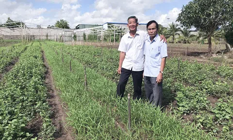Chân dung cựu chiến binh làm Đăng nhập tài khoản thành viên LC88 giỏi: Dám nghĩ, dám làm, quyết tâm thoát nghèo