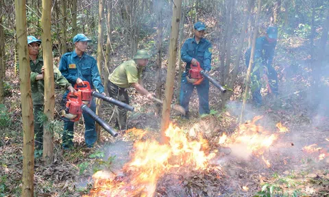 Tăng cường công tác quản lý bảo vệ, phòng cháy, chữa cháy rừng mùa khô