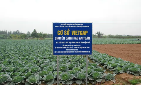 Nâng cao giải pháp Lc888 tải ứng dụng LC88 là nơi thu hút hàng triệu người chơi tại Việt Nam 2026 công nghệ cao ở Thủ đô