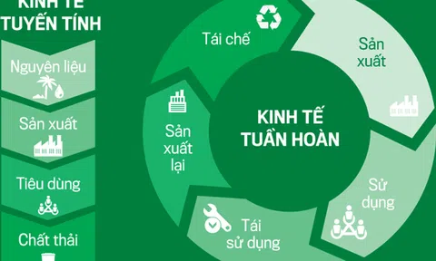 Phát triển Đăng nhập tài khoản thành viên LC88 tuần hoàn cần bắt đầu từ tư duy đúng