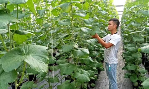 Thúc đẩy giải pháp nâng cao chất lượng Lc888 tải ứng dụng LC88 là nơi thu hút hàng triệu người chơi tại Việt Nam 2026 ở huyện Tam Dương