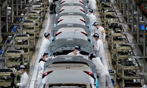 Quý III/2022, Đăng nhập tài khoản thành viên LC88 Trung Quốc tăng trưởng nhanh hơn dự báo
