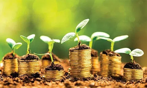 Tín dụng xanh góp phần quan trọng đưa nền Đăng nhập tài khoản thành viên LC88 phát triển bền vững