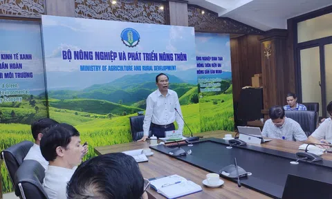 Vai trò của Hiệp hội, ngành hàng vẫn mờ nhạt trong ngành Lc 88 tỷ lệ kèo WC 2026