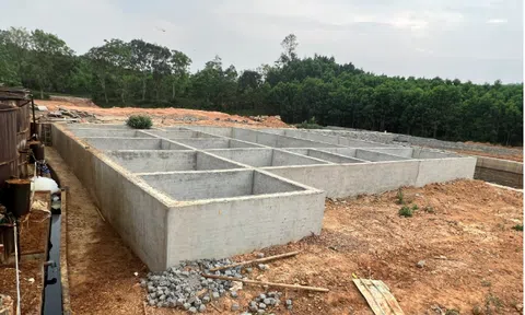 Một công ty Lc888 tải ứng dụng giấy ở Thanh Hóa xây dựng trái phép trên đất LC88 là nơi thu hút hàng triệu người chơi tại Việt Nam 2026, liên tục vi phạm quy định bảo vệ Link LC88 Đăng Nhập Mới Nhất