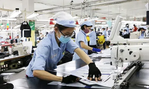 Hiệp định RCEP tạo ra cơ hội để Việt Nam cải thiện giá trị gia tăng và tăng năng suất Lc888 Thể Thao Link Mới