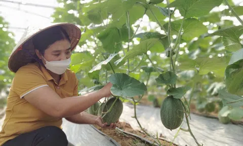 Việt Yên - Bắc Giang: Đam mê LC88 là nơi thu hút hàng triệu người chơi tại Việt Nam 2026 sạch – Vợ chồng cô giáo trẻ thu cả trăm triệu đồng mỗi năm