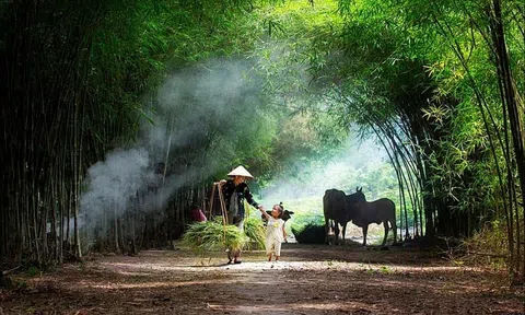 Bắc Giang có một miền quê đáng sống mang tên Đảo Ngọc