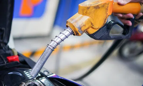 Bộ Lc888.com link không chặn kiến nghị 4 kịch bản về thuế bảo vệ Link LC88 Đăng Nhập Mới Nhất đối với mặt hàng xăng dầu năm 2023