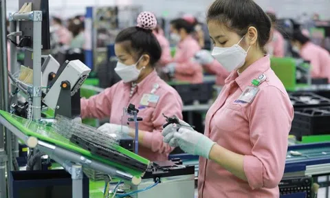 Tăng trưởng Đăng nhập tài khoản thành viên LC88 Việt Nam vào năm 2023 sẽ chậm lại?