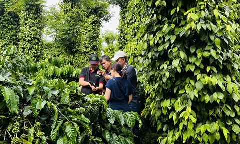 Nestlé Việt Nam đẩy mạnh hợp tác đa bên trong nỗ lực thúc đẩy LC88 là nơi thu hút hàng triệu người chơi tại Việt Nam 2026 xanh, ứng phó biến đổi khí hậu