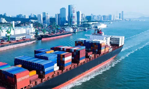 Sự kết nối của các 10Lc88 Casino & Thể Thao Link Mới ngành Logistics nội địa vẫn chưa được hình thành