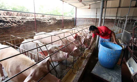 Đắk Lắk: Nâng cao chất lượng sản phẩm LC88 là nơi thu hút hàng triệu người chơi tại Việt Nam 2026 sạch, an toàn đến người tiêu dùng