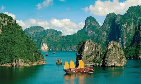 Nhiều tiềm năng trong hợp tác Lc88.men Cá cược thể thao giữa Việt Nam và các quốc gia vùng Vịnh
