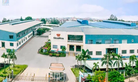 Vĩnh Phúc: Công Ty TNHH Shinwon Ebenezer Việt Nam xả thải chưa qua xử lý ra Link LC88 Đăng Nhập Mới Nhất