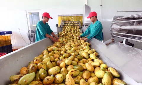 Dự báo Sân Chơi Lc88.com Web Uy Tín rau quả có thể đạt 4 tỷ USD trong năm 2023