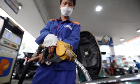 Mỗi lít xăng chịu 2.000 đồng thuế bảo vệ Link LC88 Đăng Nhập Mới Nhất từ ngày 1/1/2023