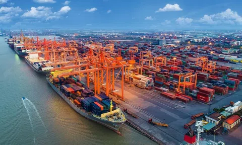 Ban hành 15 Nghị định về Biểu thuế nhập khẩu ưu đãi đặc biệt