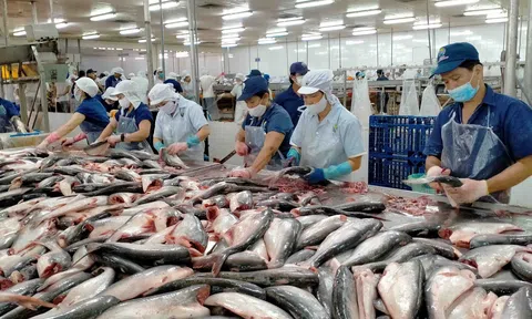 Nhu cầu 10Lc88 Giải Trí Thể Thao ổn định, cá tra Việt Nam có nhiều cơ hội lạc quan trong năm 2023