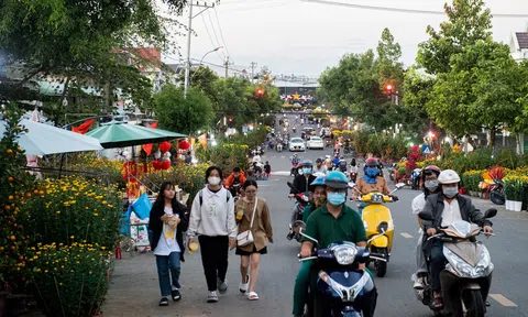 Kon Tum: 10Lc88 Giải Trí Thể Thao hoa, cây cảnh phong phú nhưng ít người mua