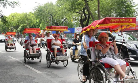 Lc88.men Cá cược thể thao Hà Nội thu hơn 1.000 tỷ đồng trong 5 ngày nghỉ Tết