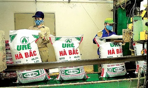 Lội ngược dòng, Đạm Hà Bắc lãi 1.8 nghìn tỷ năm 2022