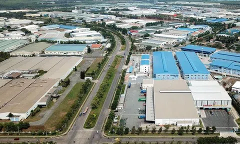 Giảm 30% tiền thuê đất, thuê mặt nước cho đối tượng bị ảnh hưởng bởi dịch COVID-19