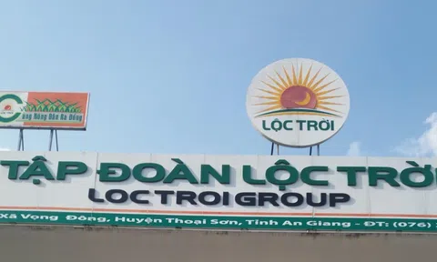 Tập đoàn Lộc Trời đạt doanh thu kỷ lục gần 12.000 tỷ đồng, cổ phiếu phục hồi mạnh