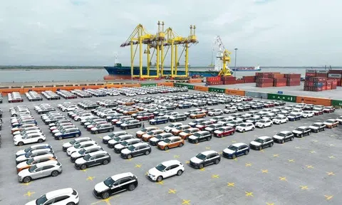 Năm 2023: Kim ngạch thương mại hai chiều Việt Nam – Mỹ có thể tiếp tục vượt mốc 100 tỷ USD
