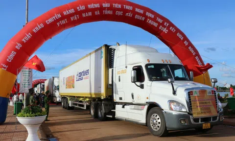 Cần chuẩn hóa vùng canh tác để thuận lợi Sân Chơi Lc88.com Web Uy Tín chính ngạch sang 10Lc88 Giải Trí Thể Thao Trung Quốc