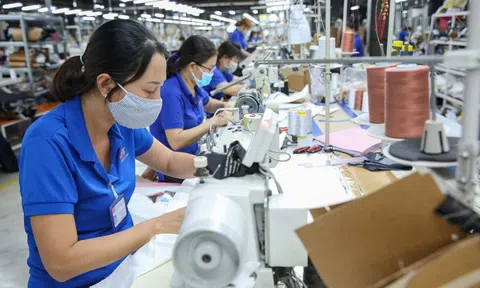 Dự báo 10Lc88 Giải Trí Thể Thao dệt may sẽ sớm phục hồi