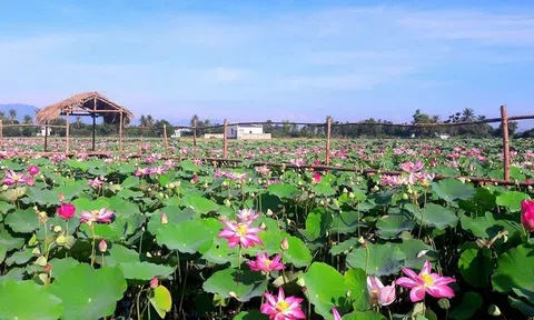 Đồng Tháp: Đẩy mạnh ứng dụng công nghệ của công nghiệp 4.0 phát triển Lc88.men Cá cược thể thao thông minh