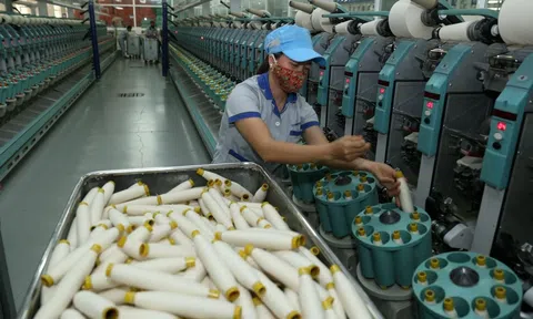 Hai kịch bản tăng trưởng Đăng nhập tài khoản thành viên LC88 năm 2023