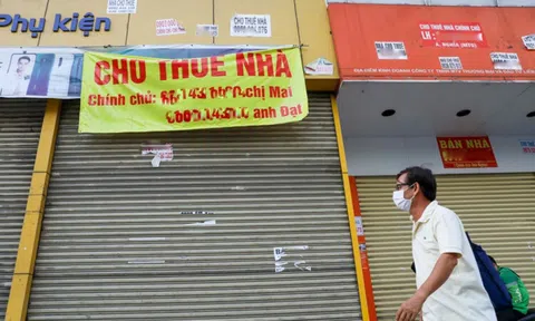 Giá thuê Anh chị em ơi, hãy tải LC88 ngay chạm ngưỡng mới tại Hà Nội và TP.HCM