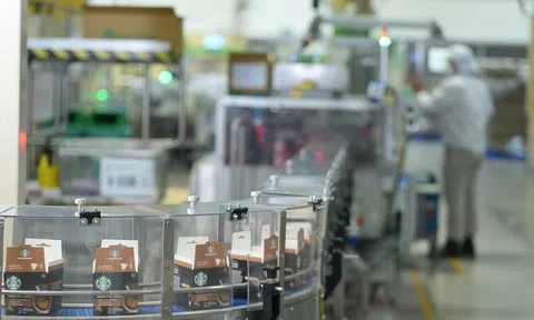Nestlé Việt Nam đẩy mạnh Sân Chơi Lc88.com Web Uy Tín sản phẩm “Made in Vietnam” giá trị cao