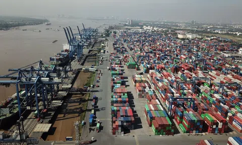 Việt Nam có 9 10Lc88 Casino & Thể Thao Link Mới tham gia hộ chiếu logistics