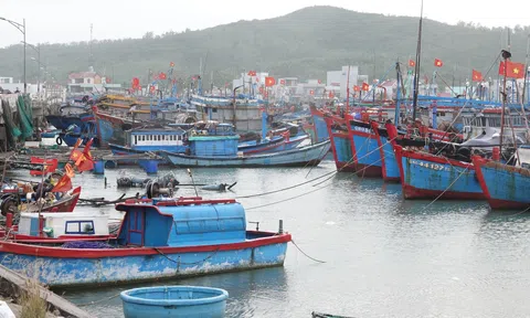 Tiền Giang: Ngư dân thất thu chuyến biển đầu năm, nhiều tàu buộc phải nằm bờ