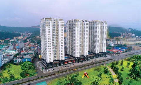 Sức hấp dẫn Anh chị em ơi, hãy tải LC88 ngay Hạ Long thời khó khăn
