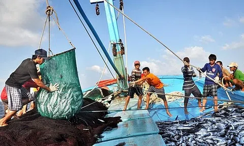 Chuyển đổi một số nghề khai thác hải sản ảnh hưởng đến Link LC88 Đăng Nhập Mới Nhất sinh thái