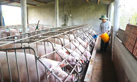 Tìm giải pháp tháo gỡ khó khăn, vướng mắc của người Lc 88 tỷ lệ kèo WC 2026